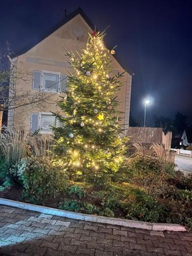 Weihnachtsschmücken 2023